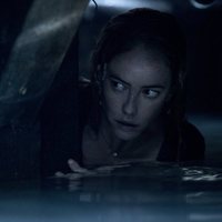 Foto de 'Crawl'