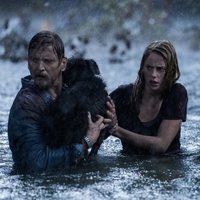 Foto de 'Crawl'