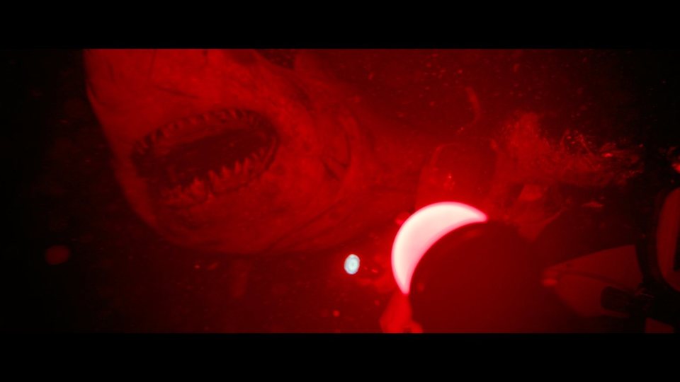 Imagen de la película 47 Meters Down: Uncaged