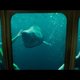 Imagen de la película 47 Meters Down: Uncaged
