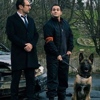 Bienvenidos al barrio