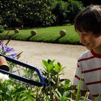 Foto de 'The Hairy Tooth Fairy 2'
