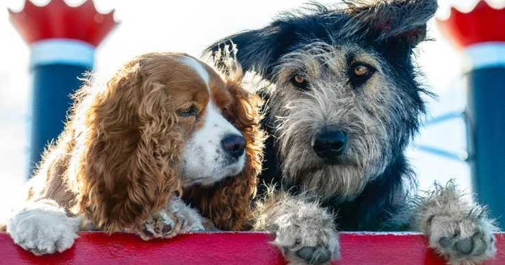 Imagen de la película Lady and the Tramp