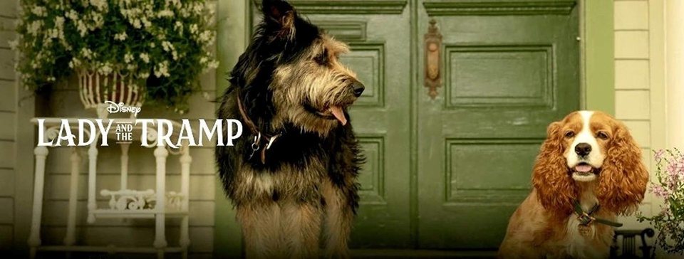 Imagen de la película Lady and the Tramp