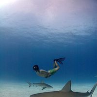 Foto de 'Sharkwater'