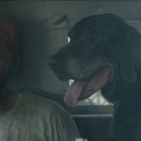 Foto de 'The Peanut Butter Falcon'