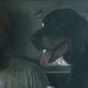 Imagen de la película The Peanut Butter Falcon