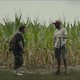 Imagen de la película The Peanut Butter Falcon