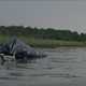 Imagen de la película The Peanut Butter Falcon