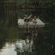 Imagen de la película The Peanut Butter Falcon