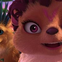 Foto de 'Hedgehogs'