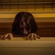 Imagen de la película The Grudge