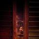 Imagen de la película The Grudge
