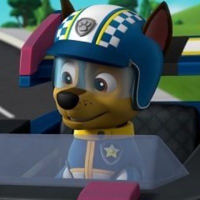 Paw Patrol: Ready, Race, Rescue!