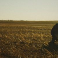 El huevo del dinosaurio