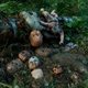 Imagen de la película Baba Yaga: Terror of the Dark Forest