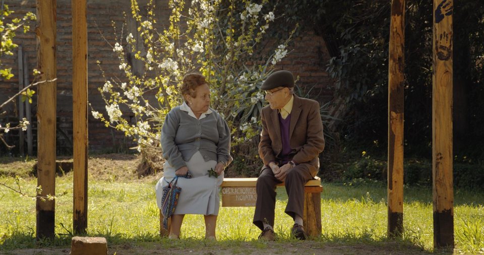 Imagen de la película The Mole Agent