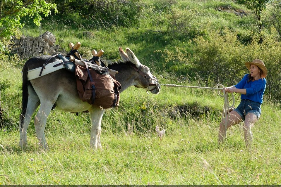 Imagen de la película My Donkey, My Lover & I