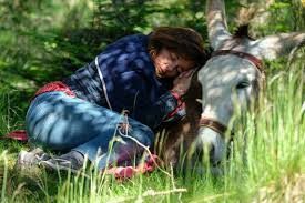Imagen de la película My Donkey, My Lover & I