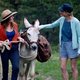 Imagen de la película My Donkey, My Lover & I