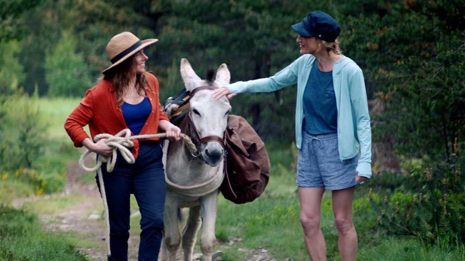 Imagen de la película My Donkey, My Lover & I
