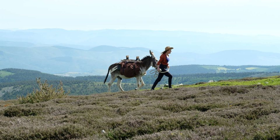 Imagen de la película My Donkey, My Lover & I