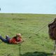 Imagen de la película My Donkey, My Lover & I