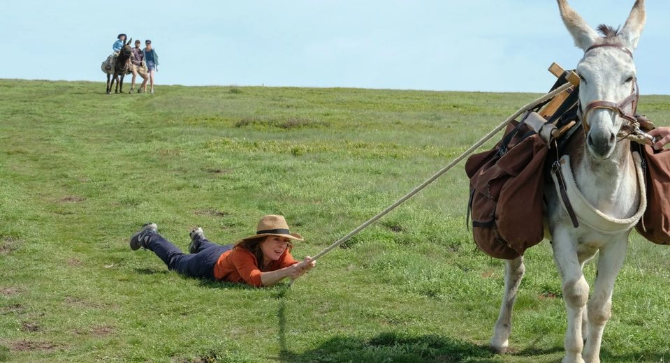 Imagen de la película My Donkey, My Lover & I