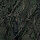 Imagen de la película The Wanderer