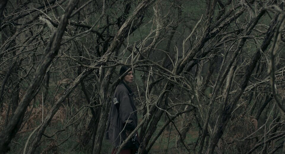 Imagen de la película The Wanderer