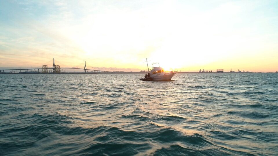 Hombre muerto no sabe vivir