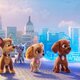 Imagen de la película Paw Patrol: The Movie
