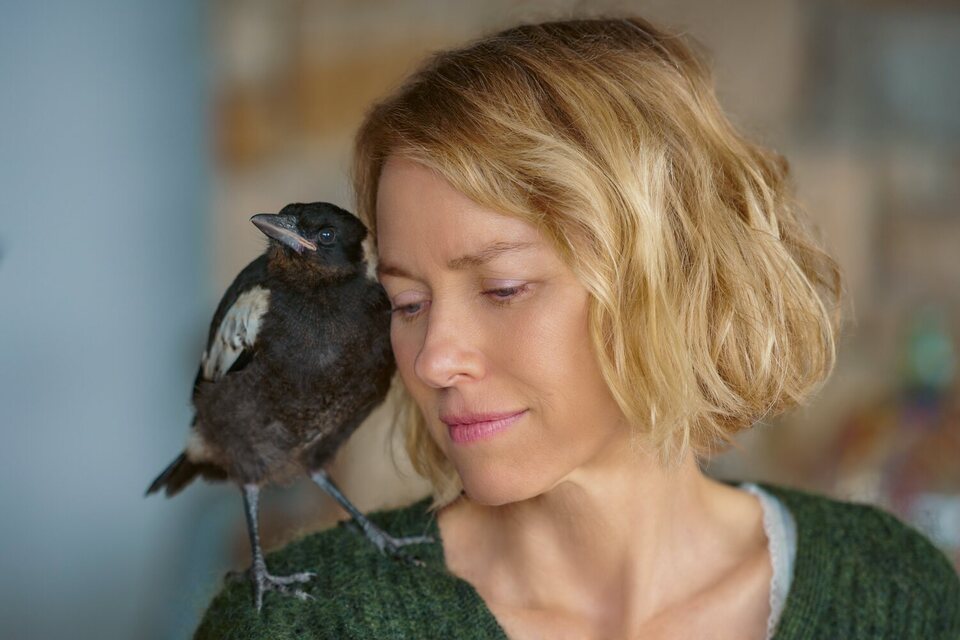 Imagen de la película Penguin Bloom