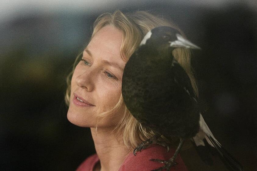 Imagen de la película Penguin Bloom