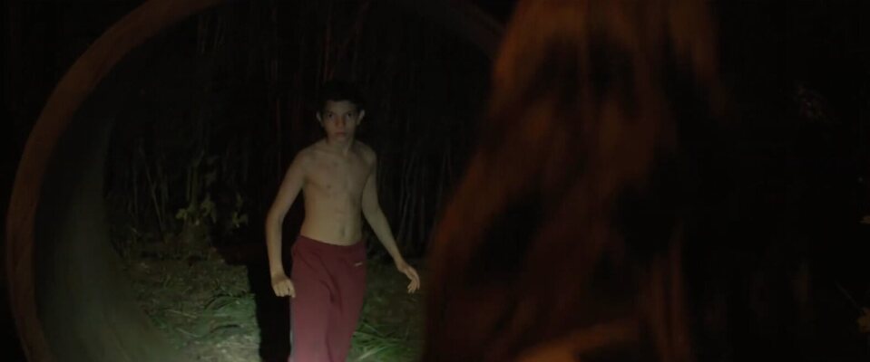 Imagen de la película Fever Dream