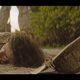 Imagen de la película Plantados