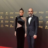 Luis Tósar at the red carpet of the 36h edition of the Goya Awards