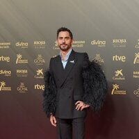 Paco León at the red carpet of the 36h edition of the Goya Awards