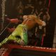 Imagen de la película The Wrestler