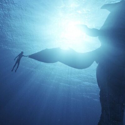 Avatar: The Way of Water