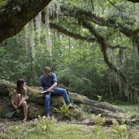Foto de 'Where the Crawdads Sing'