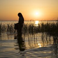 Foto de 'Where the Crawdads Sing'