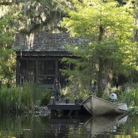 Foto de 'Where the Crawdads Sing'