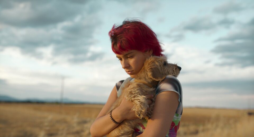 Imagen de la película Rainbow