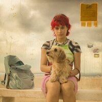 Foto de 'Rainbow'