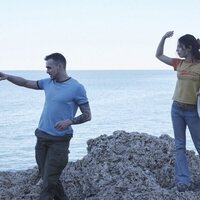 Girasoles silvestres