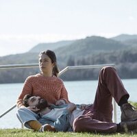 Girasoles silvestres