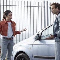 Girasoles silvestres