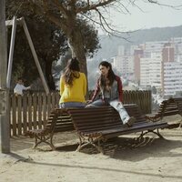 Girasoles silvestres