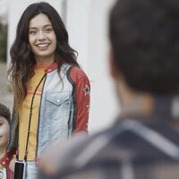 Girasoles silvestres